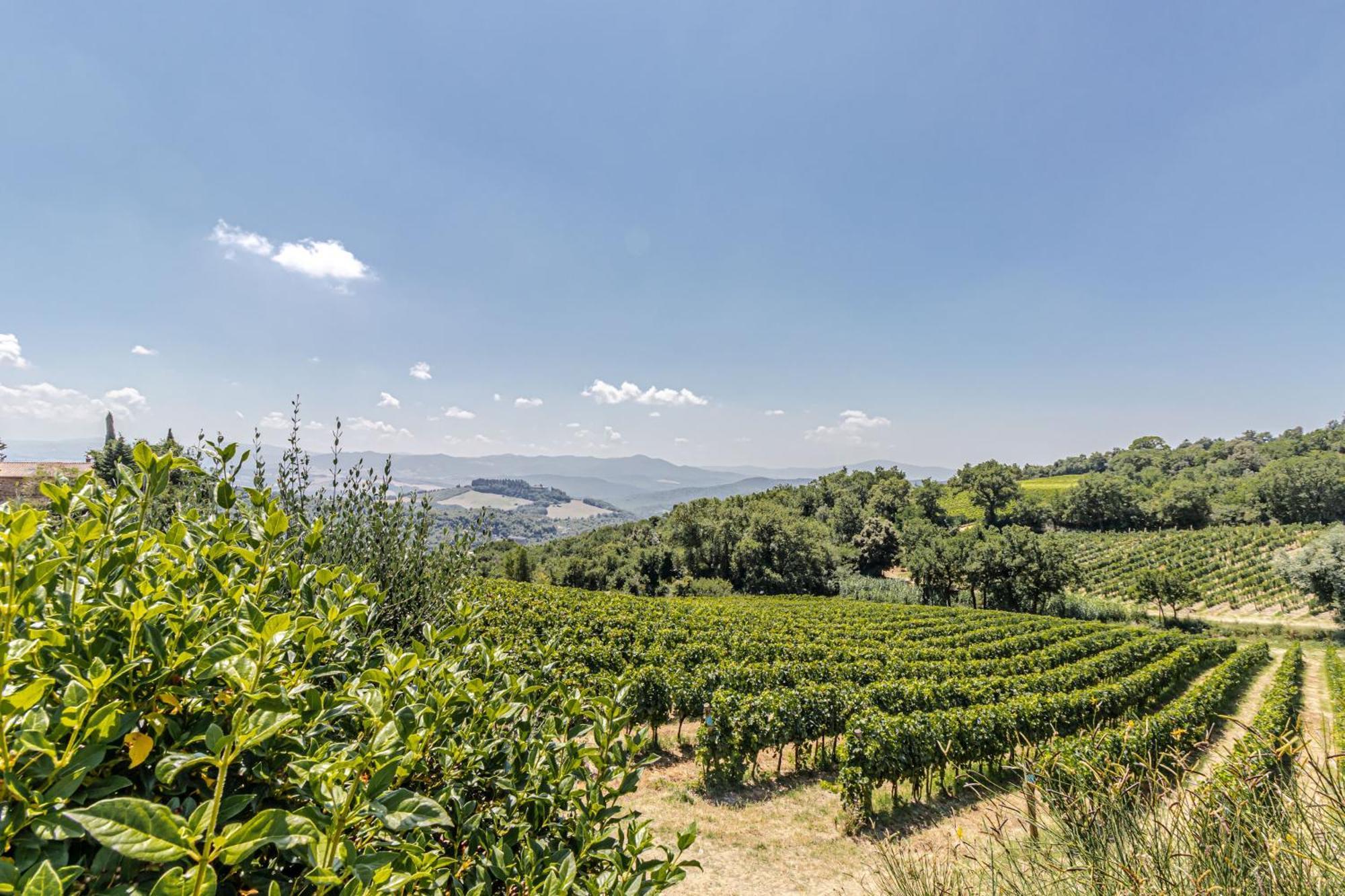 Chateau La Siroque Montecatini Val di Cecina Kültér fotó